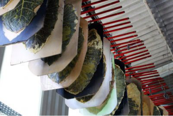 1562737997426090.png blob.png