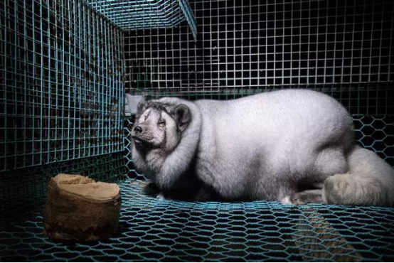 1562824687518320.png blob.png