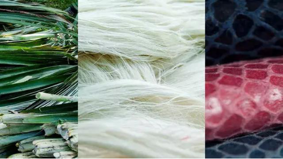 1562825278570810.png blob.png