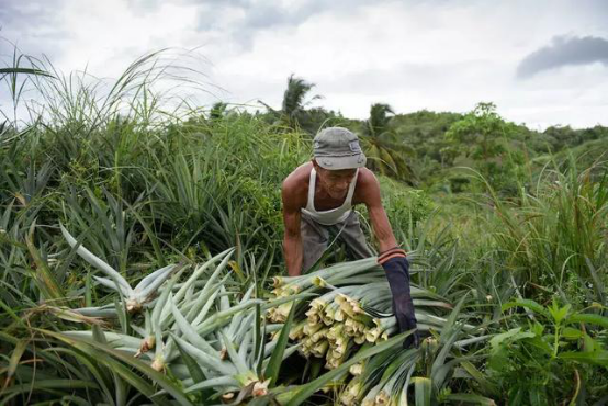 1562826128019643.png blob.png