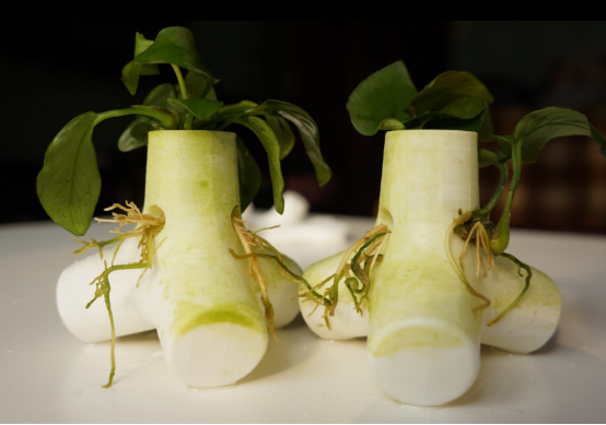 1562835631683191.png blob.png